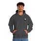 8 Ball Pool Shark Hoodie